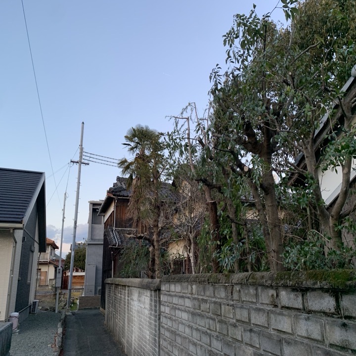 植物の特性を理解する