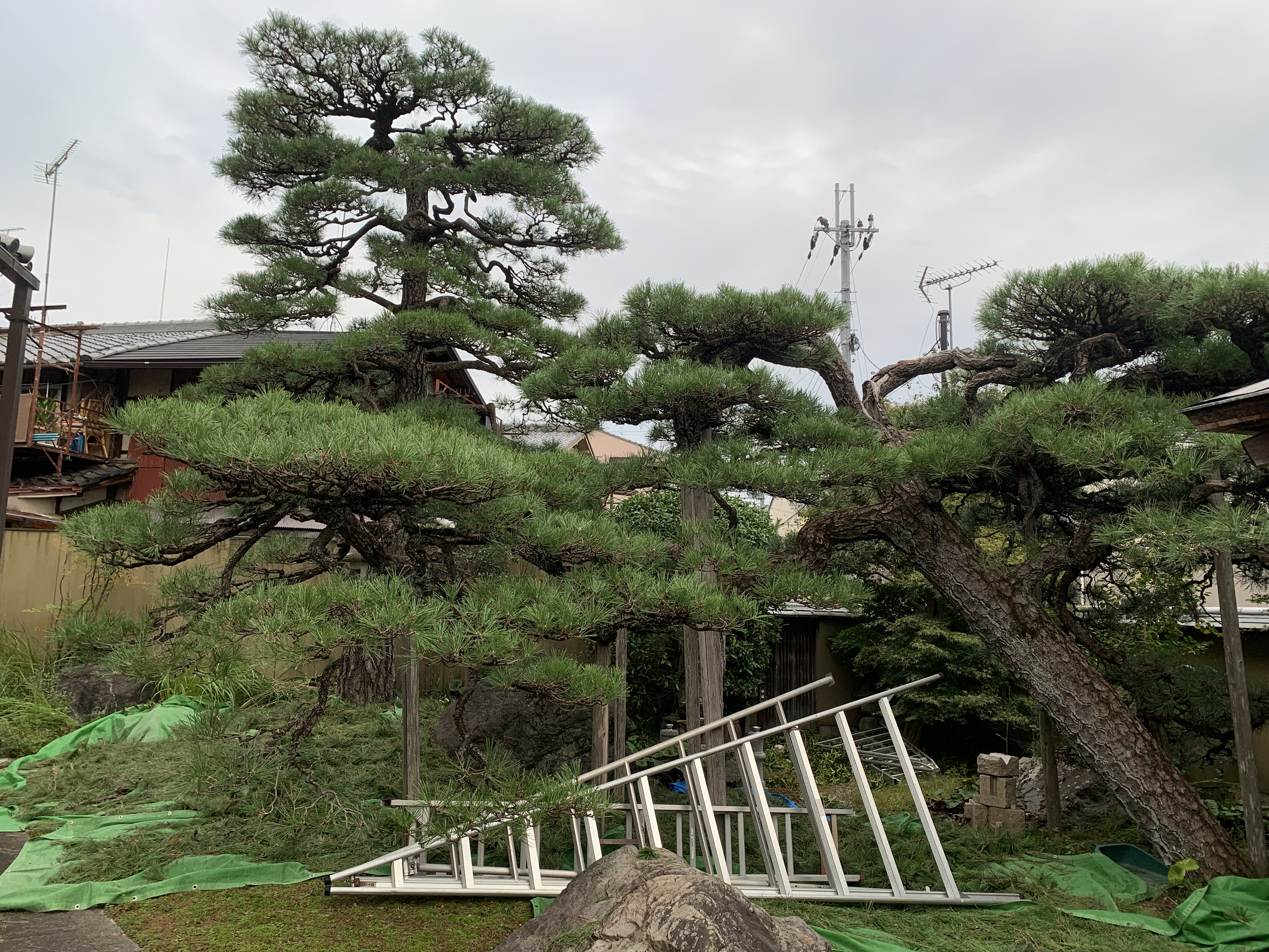 定期メンテナンスの利点