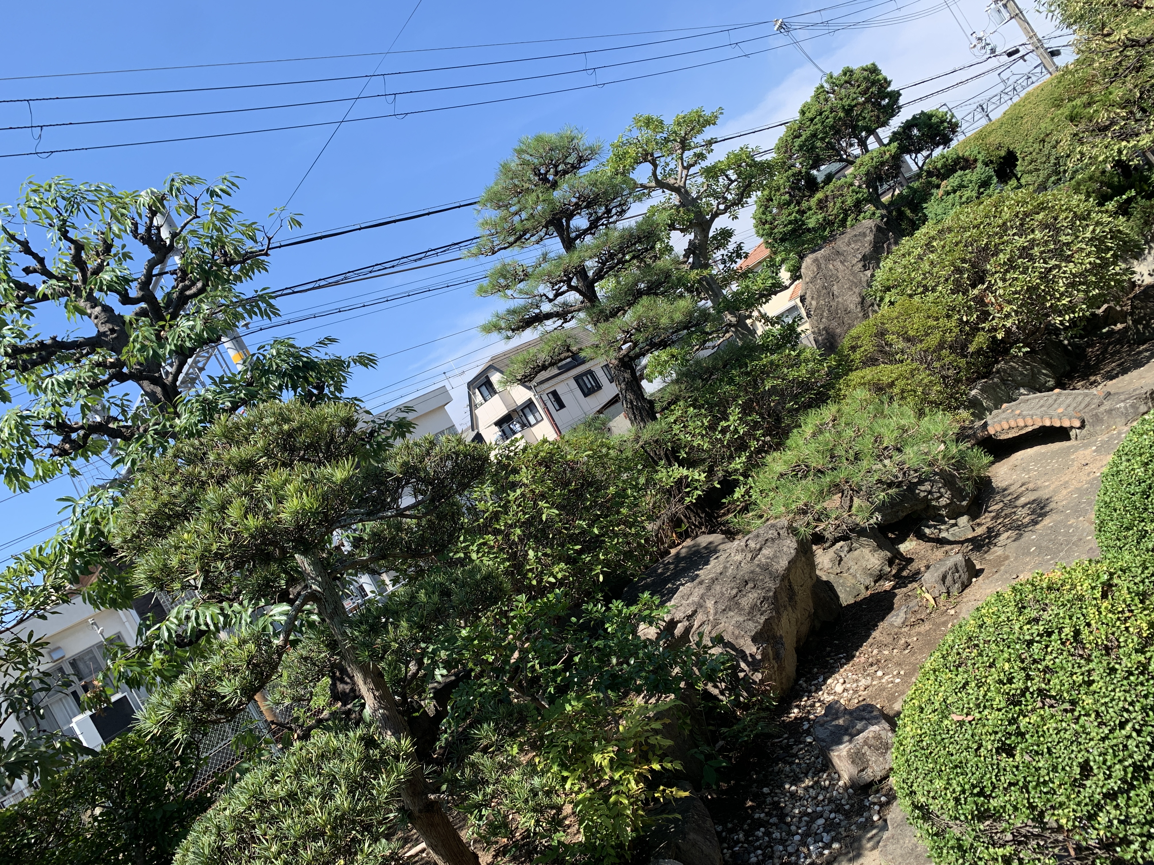 今すぐお問い合わせを！
