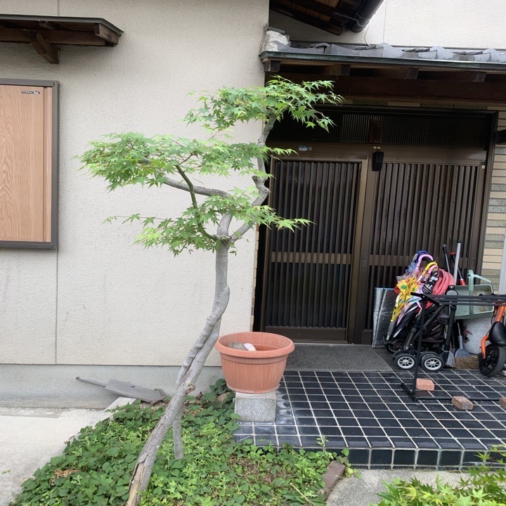 今すぐお問い合わせを！
