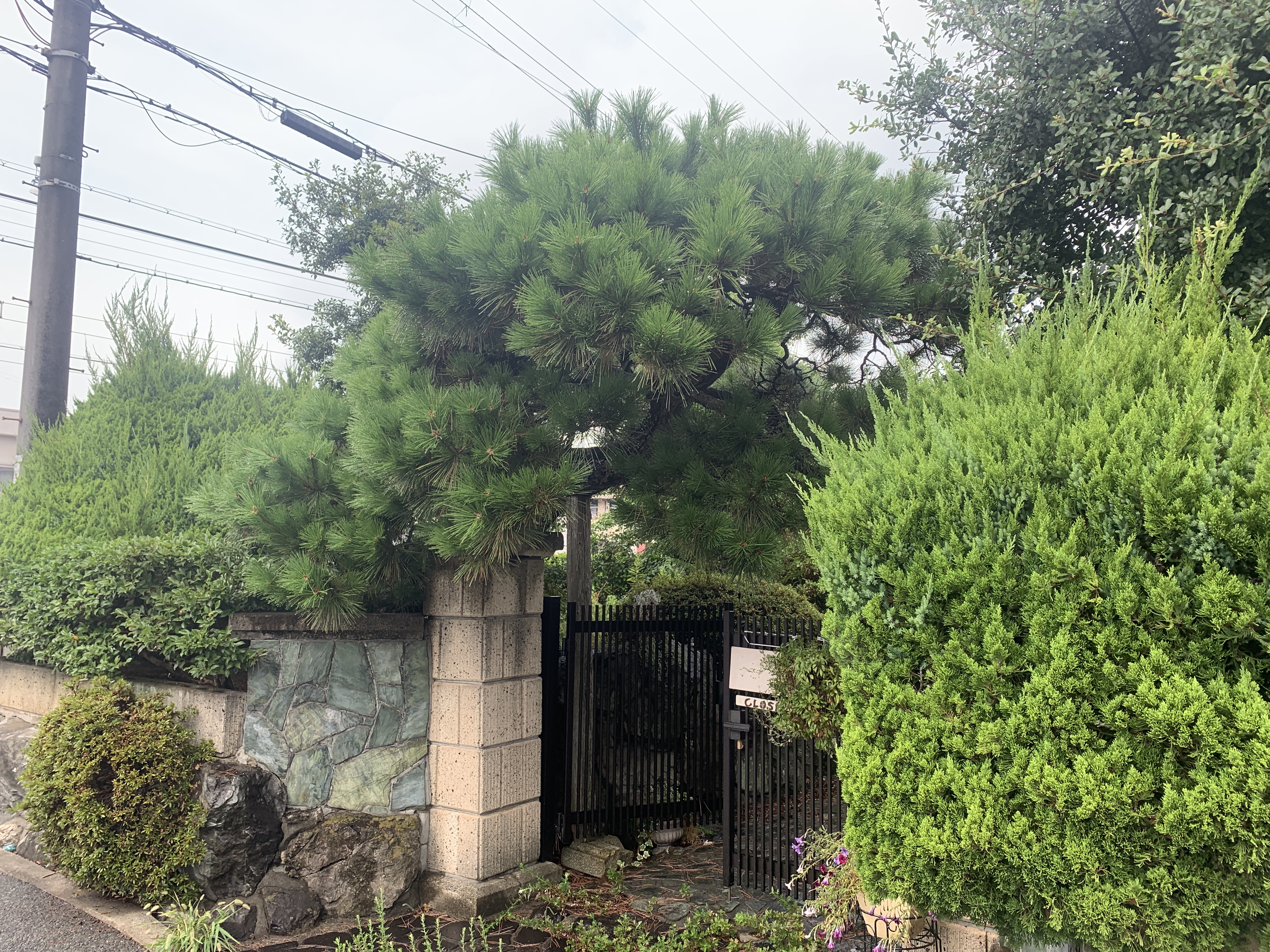 今すぐお問い合わせを！