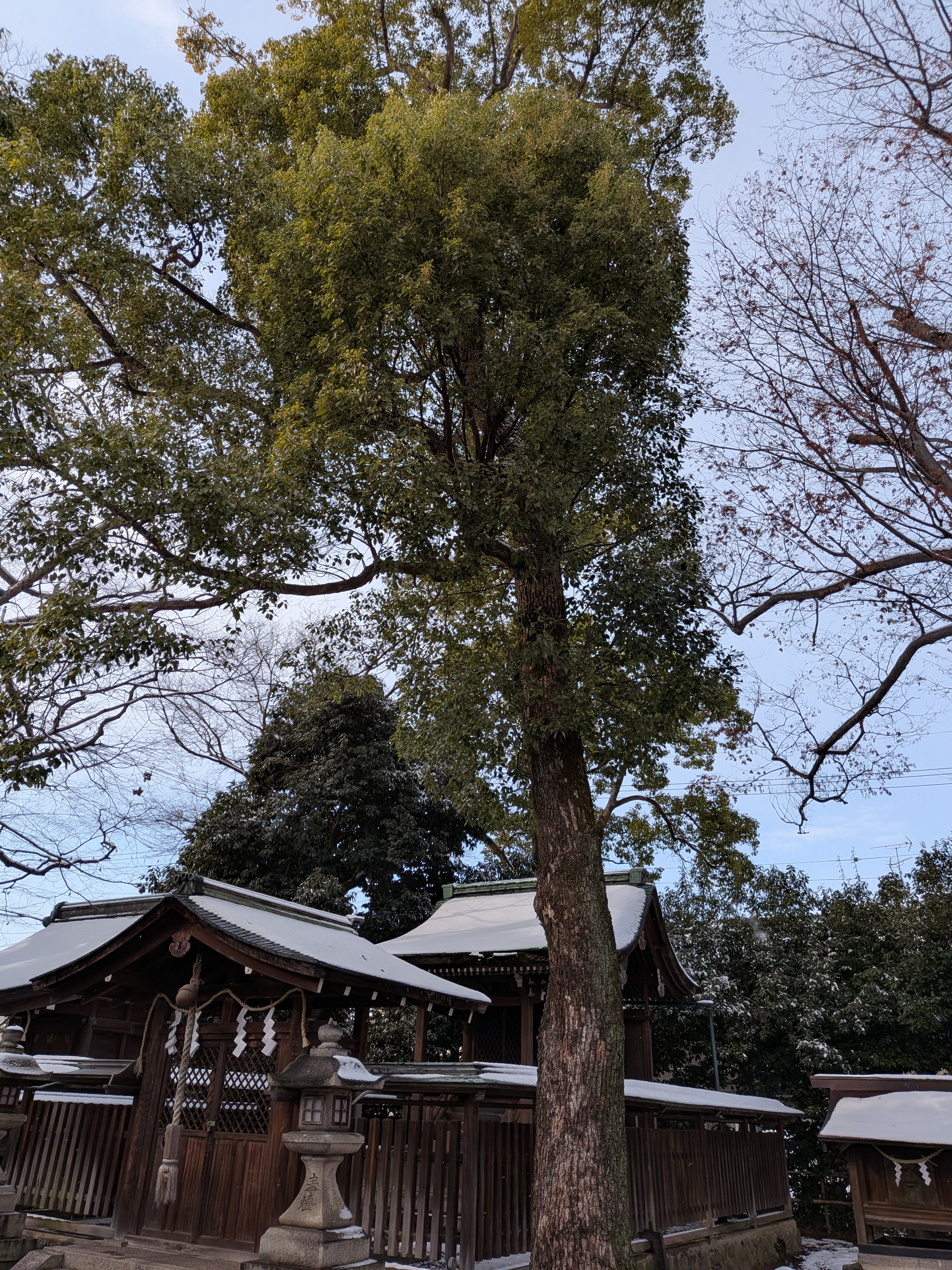 今すぐ安全を確保しよう！お問い合わせはこちら
